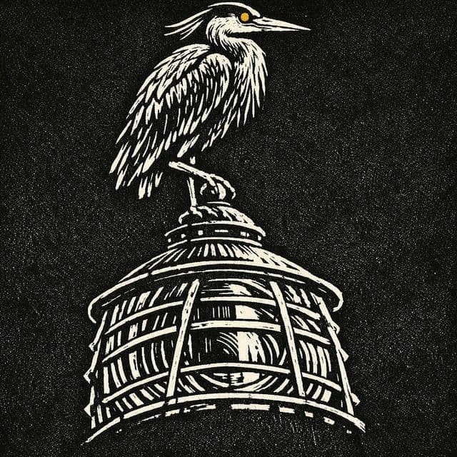 The Darkened Lens: The Battle for Egmont Key